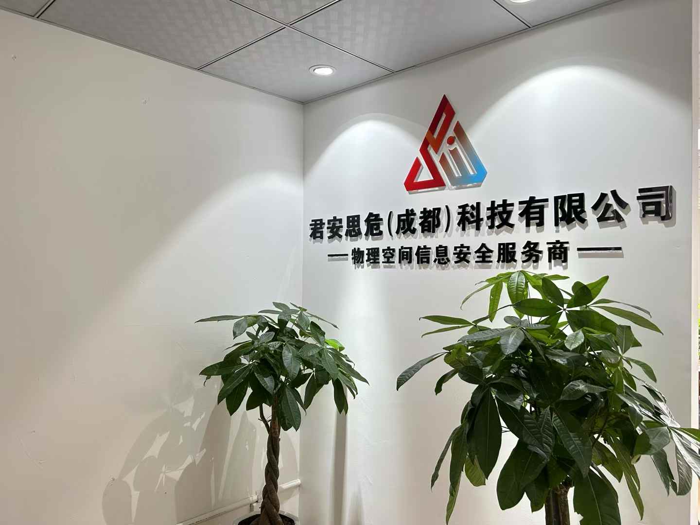 反窃听公司是干什么的？一文读懂反窃听公司选对攻略！(图6)