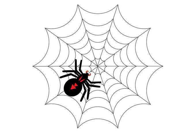SEO中通常所说的引蜘蛛是什么意思？(图1)